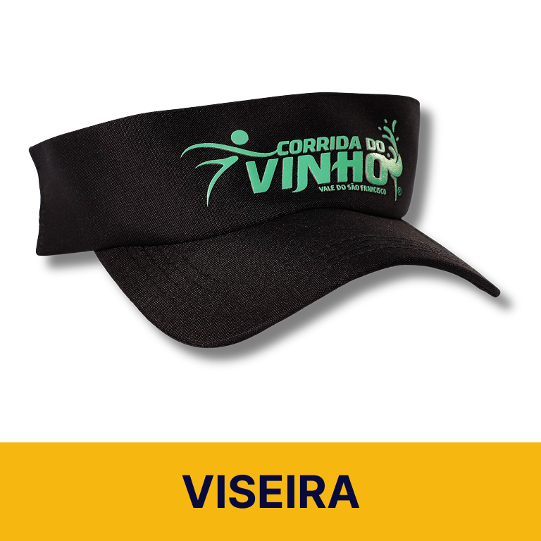 viseira